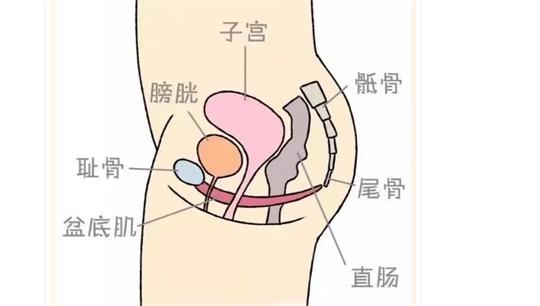 AG旗舰中心便携产后康复治疗仪，促进产后快速恢复