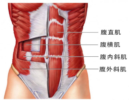 腹直肌分离