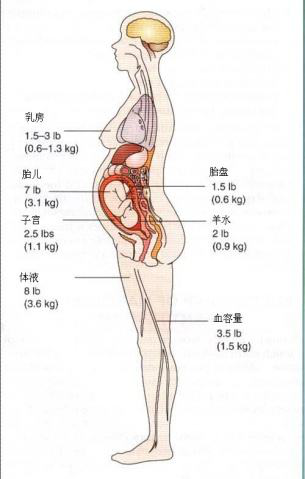 盆底肌康复